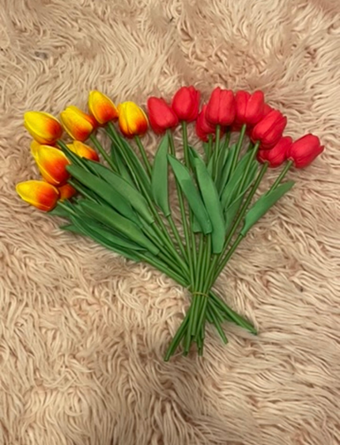 Tulips