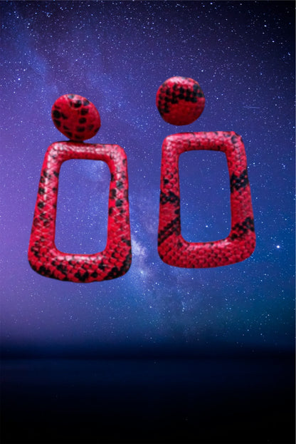 Rectangle stylish earrings