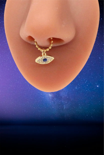 Magnet nose rings